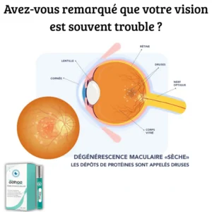 VISION ENHANCE ROLLER: Clarity - Give Your Eyes New Vitality