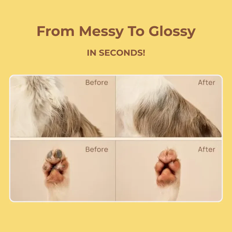 NeuroLabs™ Pro Gloves — Clean your pup in 2 minutes