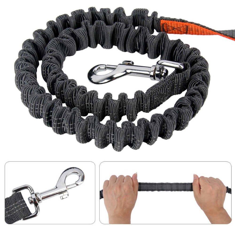 Handsfree Bungee Dog Leash - Image 5