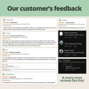 Veyra Natural Wellness Diffuser