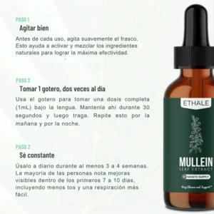 ETHALE® Lung Drops – Reboot your lungs and eliminate cough in 7 days