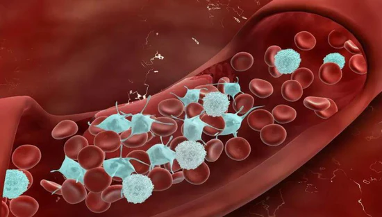 Oveallgo® NanoLipo HardX Performance Ampoules Prox