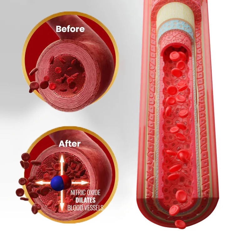 Oveallgo® NanoLipo HardX Performance Ampoules Prox