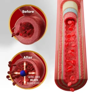 Oveallgo® Maca Root HARDER Performance Ampoules