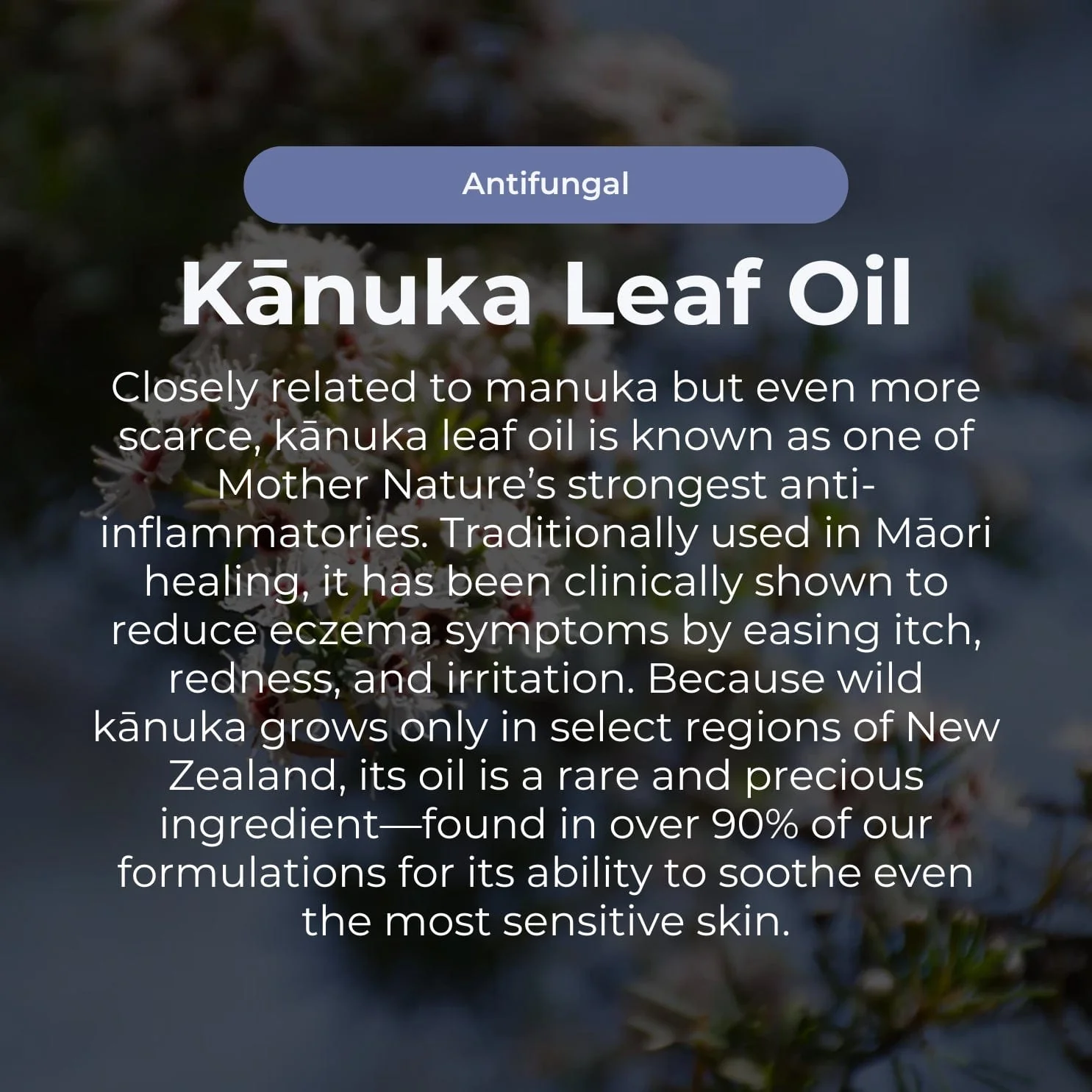 Miracle Manuka - Skin Repair Ointment 100g