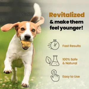 joint flexibility support solution