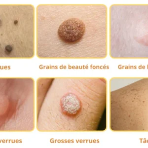 About Us Privacy Policy Terms of Service Delivery Policy