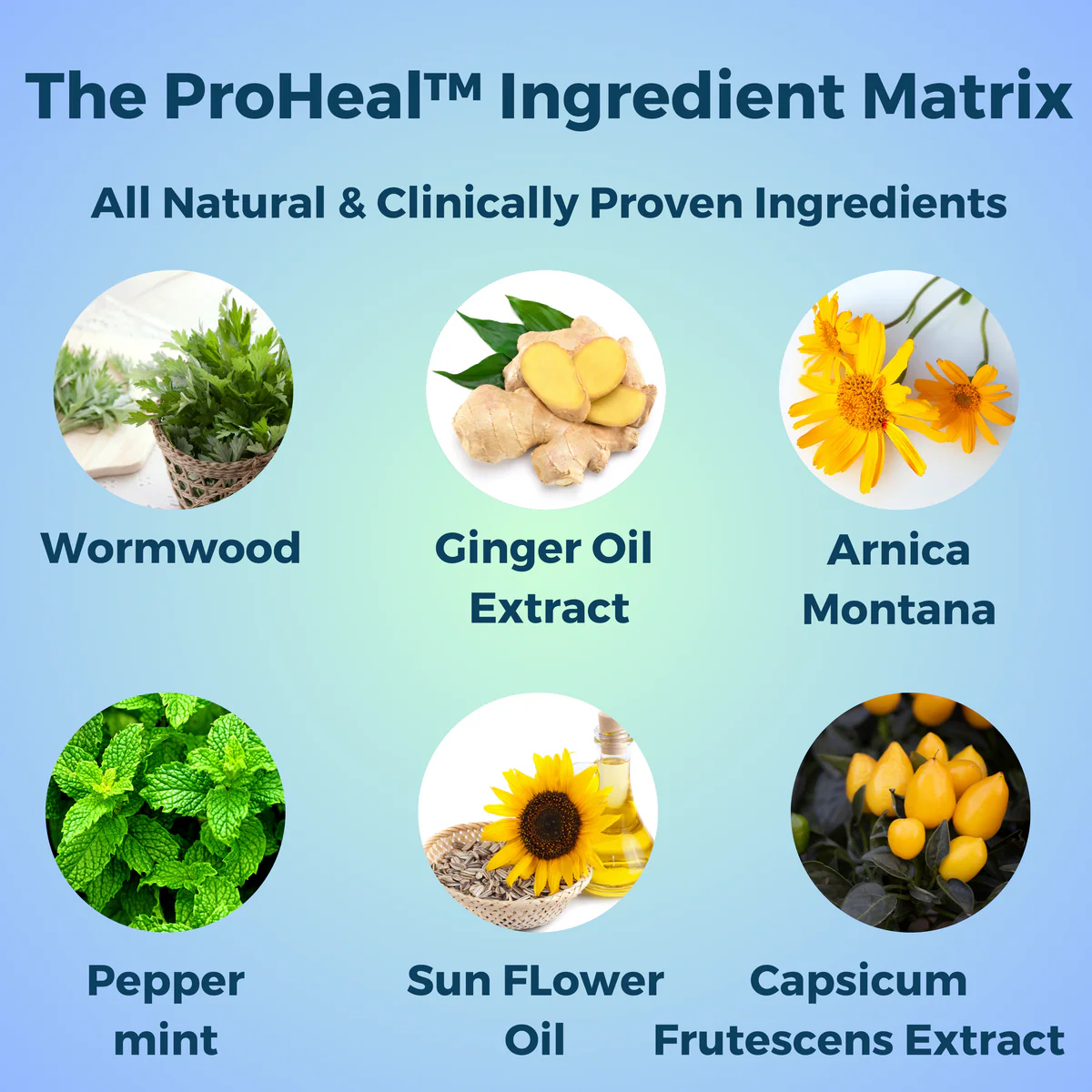 Nerve Relief & Neuropathy Healing Cream – Deep Soothing Formula