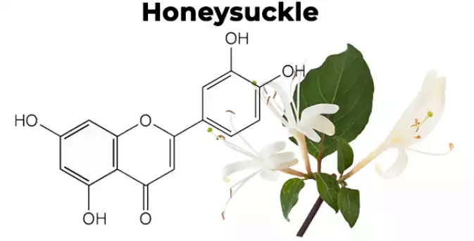 Introducing Fivfivgo™ GlucoEase Sugar Down Nasal Mist!