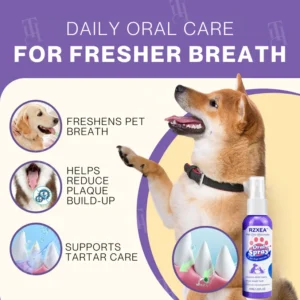 clean pet care branding