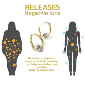 stylish earrings accessory