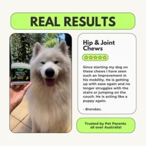 easy use comfort chews