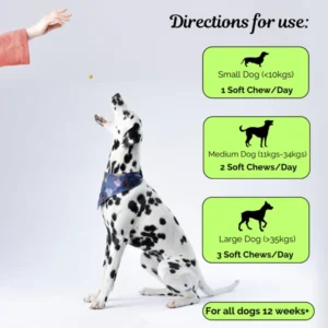 advanced mobility comfort chews