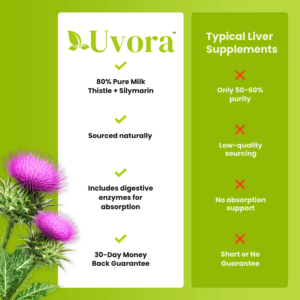 uvora silymarin herbal extract