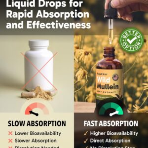 rapid mucus clearance with lungcare