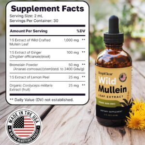 lungcare herbal respiratory wellness drops