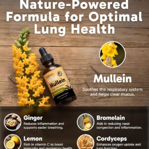 effective airway clearing formula lungcare