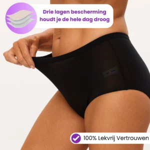 seamless leakproof underwear for all day comfort