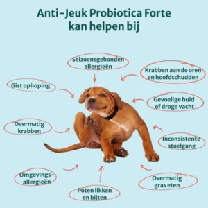 anti-itch probiotics forte for eczema results